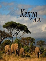 Kenya AA