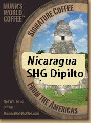 Nicaraguan SHG Dipilto